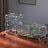 Clear acrylic reptile habitat box, main product photo