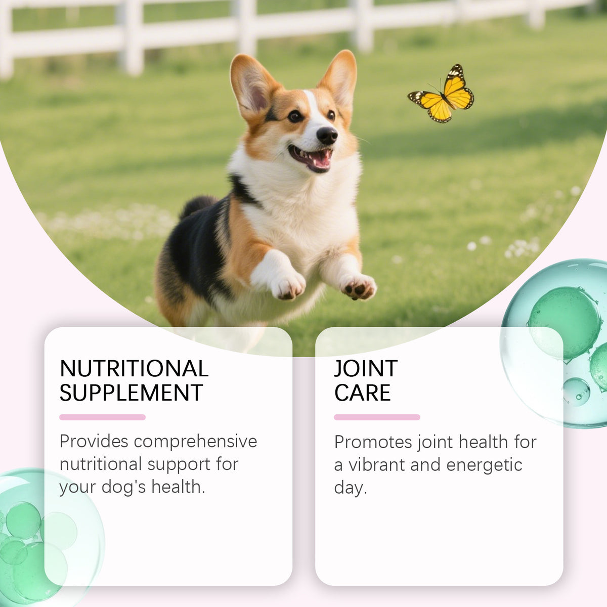 Dog Collagen Drops, Daily Skin and Coat Wellness Supplement
