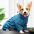 Adjustable high neck fleece coat for large dogs in Navy Blue, in a home setting