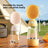 Portable Pet Water Bottle with Attached Food Container for Outdoor Walks
