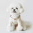 White faux leather cat walking harness vest with adjustable straps, product image 2