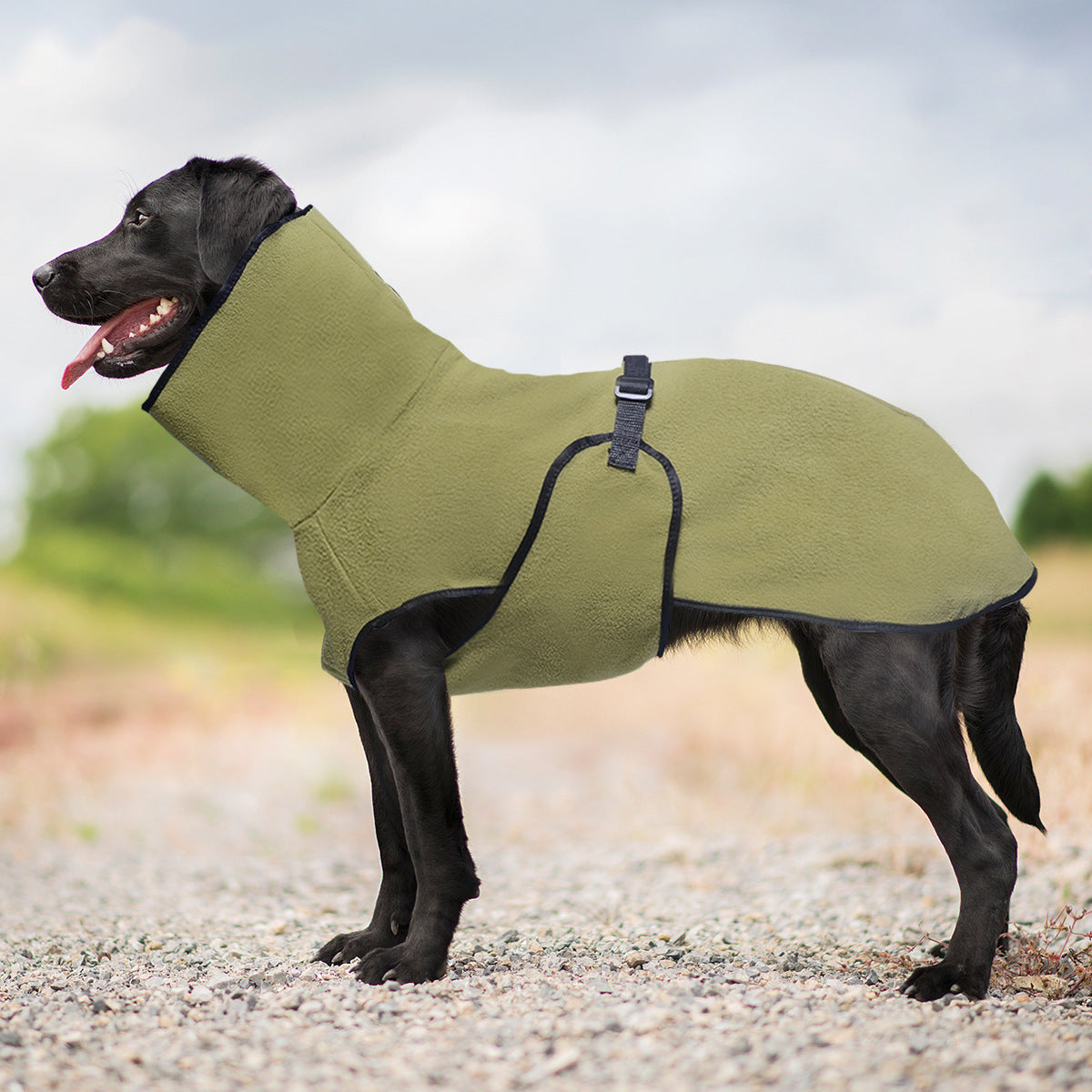 Hooded polar fleece dog jumper, available in 5 colours, sizes Small to 5XL, image 38