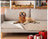 Hair-resistant furniture protector for dogs, second detail photo
