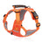 Adjustable burst-resistant dog harness, main product photo from Pet Royale UK