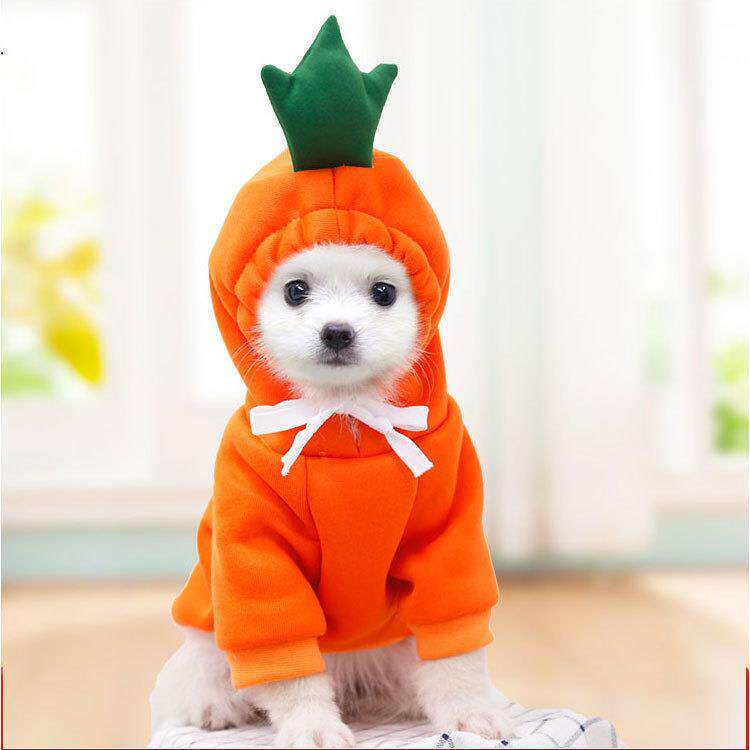 Fleece fruit hoodie for dogs and cats, available in 5 styles, image 2