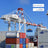 Disposable Dog Training Pads, Absorbent Puppy Pee Pads