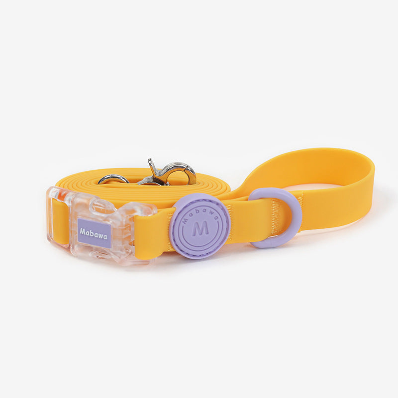 Wipe clean dog lead shown in purple, yellow and green