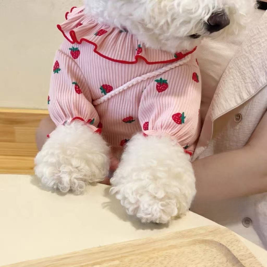Small dog wearing a pink strawberry print T-shirt