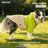 Hooded windproof waterproof dog jackets in lime oatmeal and grey blue
