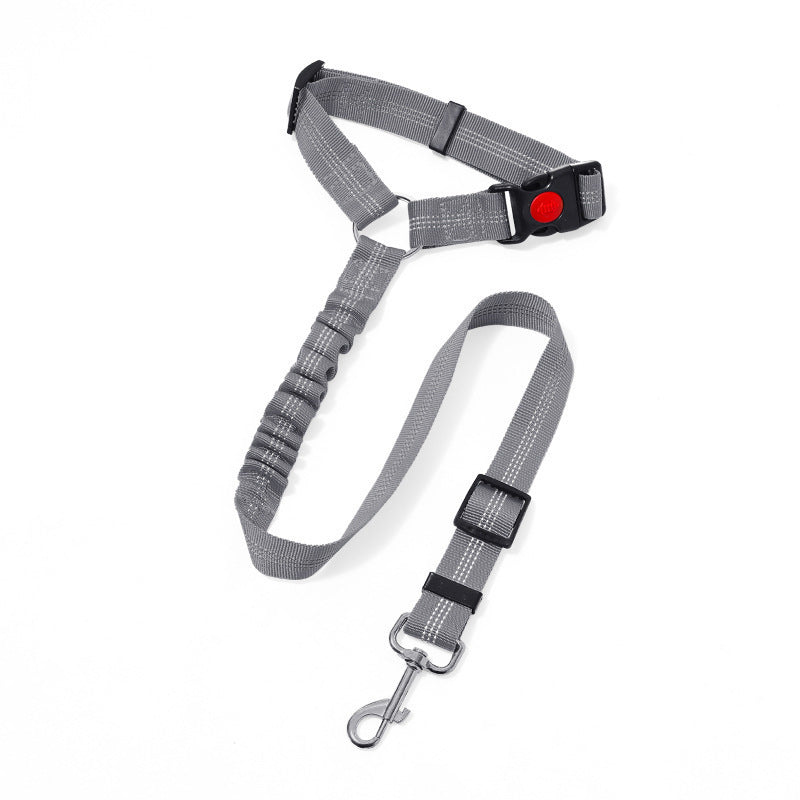 Elastic dog car seat belt lead in red with metal clip