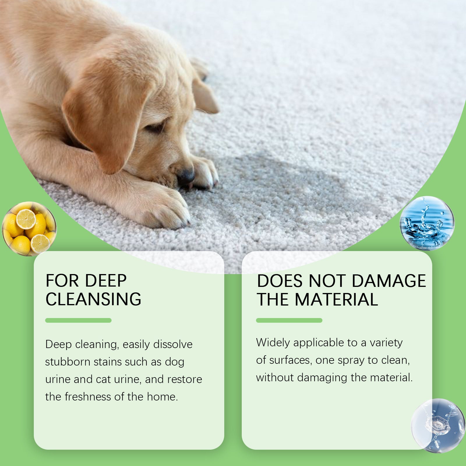 Pet Stain and Odour Remover Spray 120ml for Dogs and Cats