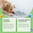 Pet Stain and Odour Remover Spray 120ml for Dogs and Cats