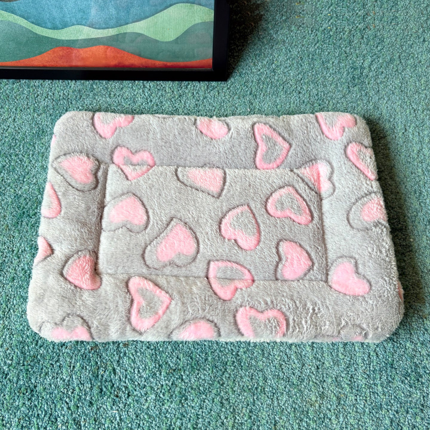 Plush flannel pet blanket mat with cute print, photo 32 of 55
