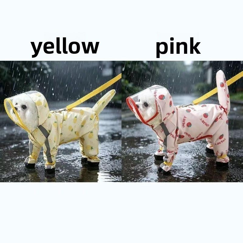 Small dog in a yellow pineapple four leg raincoat