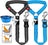 Shock-absorbing bungee lead for large dogs, close-up detail view
