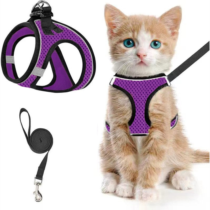 Breathable reflective mesh harness in lake blue on a cat