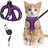 Breathable reflective mesh harness in lake blue on a cat