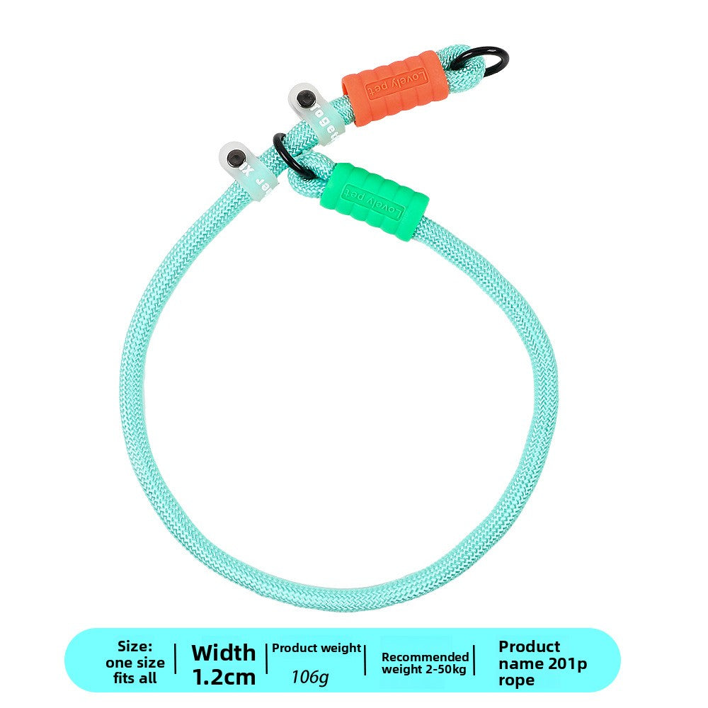 Bright nylon dog lead in vivid colour, product image 13