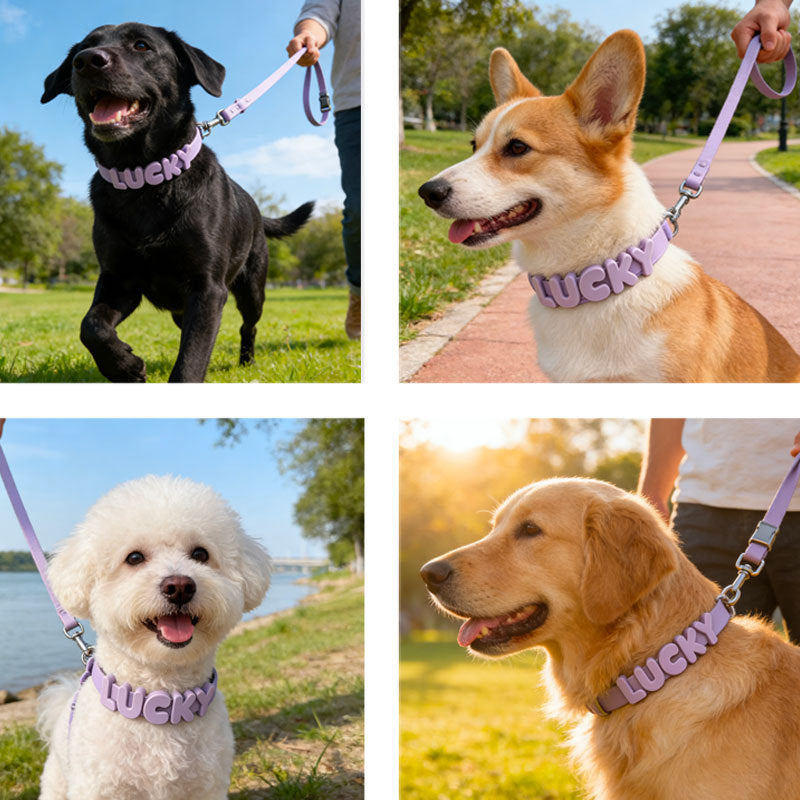 Personalised silicone pet collar with letters, 4 sizes available