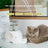 Elephant and Turtle Drinking Fountain with Glass Bottle and Spill-Proof Silicone Ring