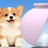 Silicone dog travel water bottle with ball outlet in Pink, close-up detail