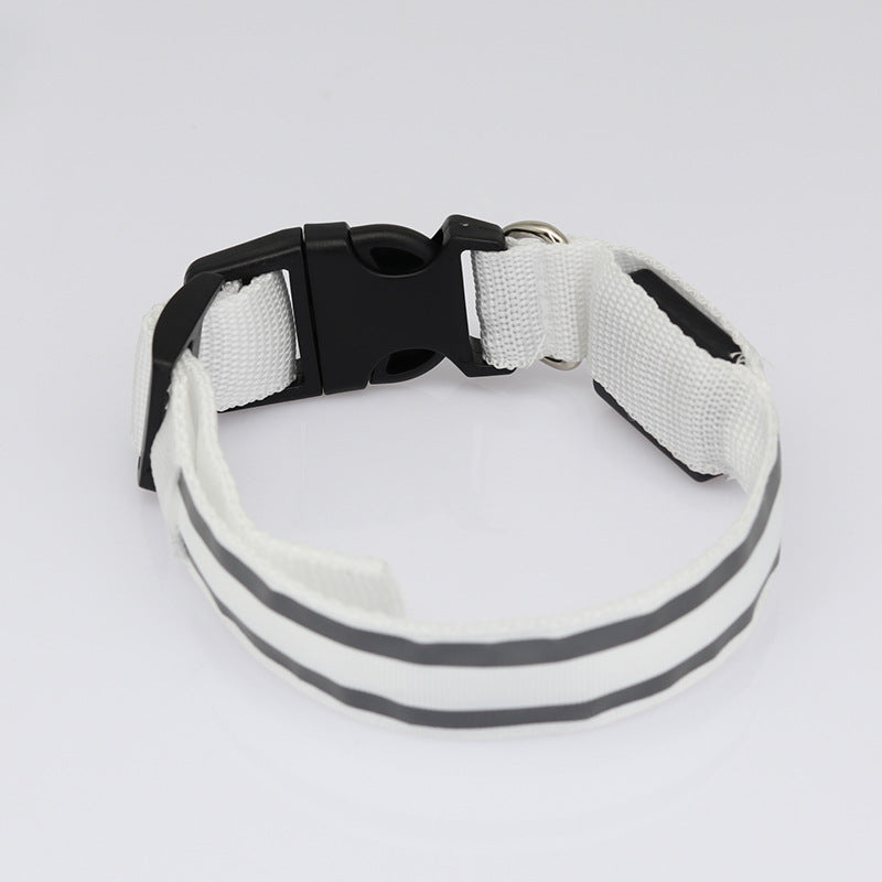 LED reflective dog collar glowing green on a night walk