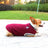 Warm knitted dog vest jumper with pull on design in Yellow, side view