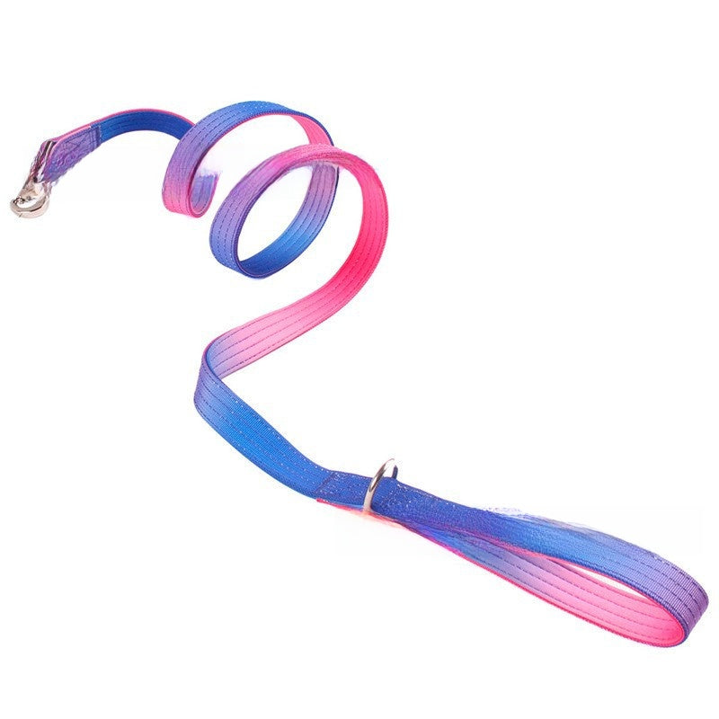 Small dog harness and lead set in bright gradient colours