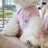 Embroidered polo style pet vest for dogs and cats, available in 4 colours, image 21