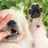 Anti-slip dog paw grip pads pack of four in black, product image 2
