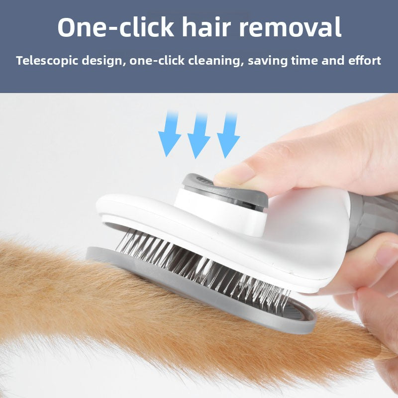 Pet Hair Removal Needle Comb and Fine-Tooth Flea Comb Set