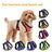 Breathable mesh vest harness in fluorescent green on a small dog