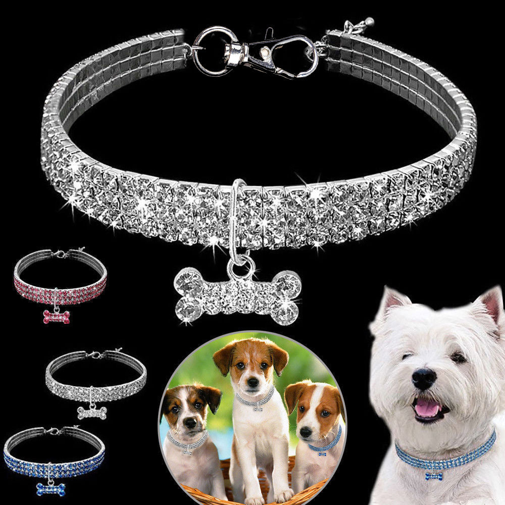 Rhinestone elastic pet collar with charm in Blue Bone, front view