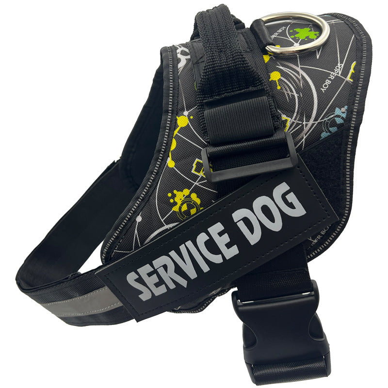 Reflective nylon dog harness with lead in blue, product image 92