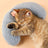 Lightweight U-shaped pet pillow pad with cotton filling, product image 6
