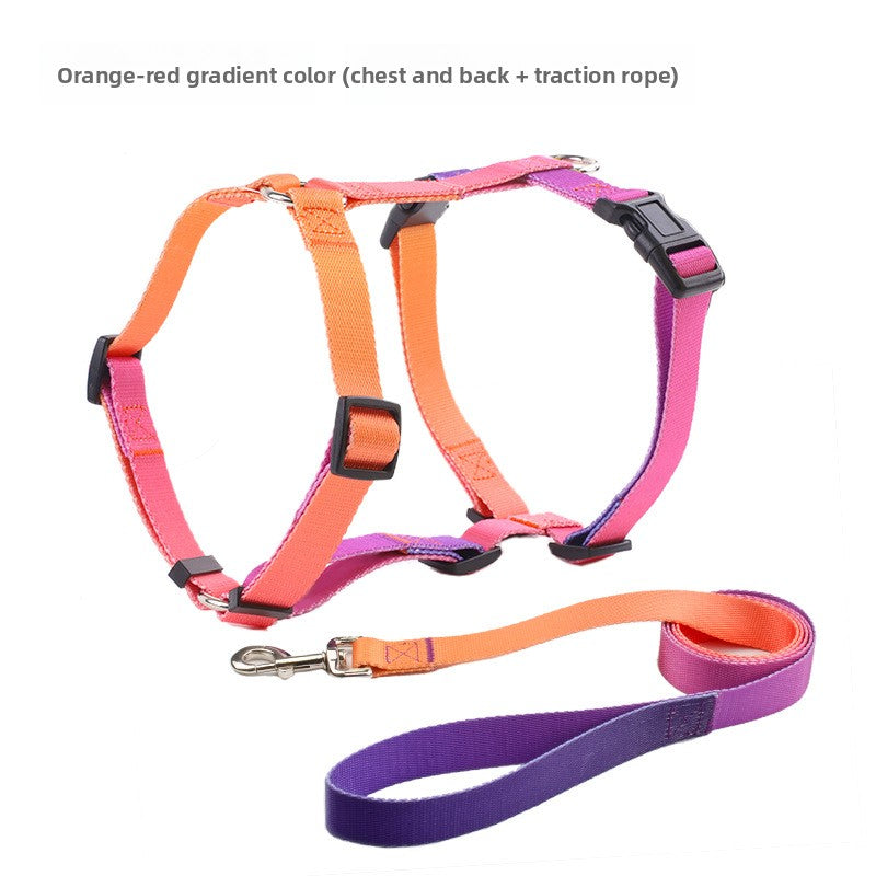Three piece dog harness, collar and lead set in orange gradient