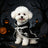 Black eagle feather print Halloween dog cape, in Black, sizes Small to 2XL, image 10