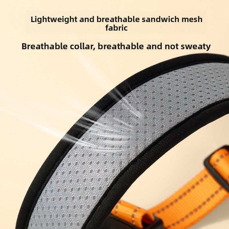 Adjustable dog collar with optional lead, 4 sizes available
