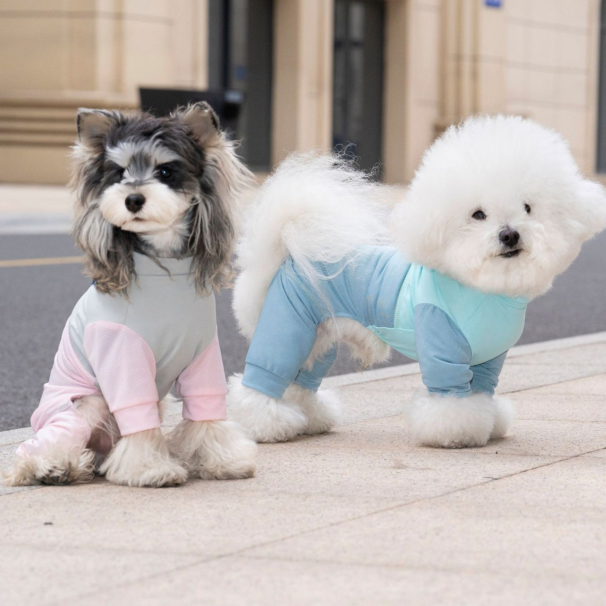 Breathable mesh four leg dog outfit, available in 3 colours, image 2