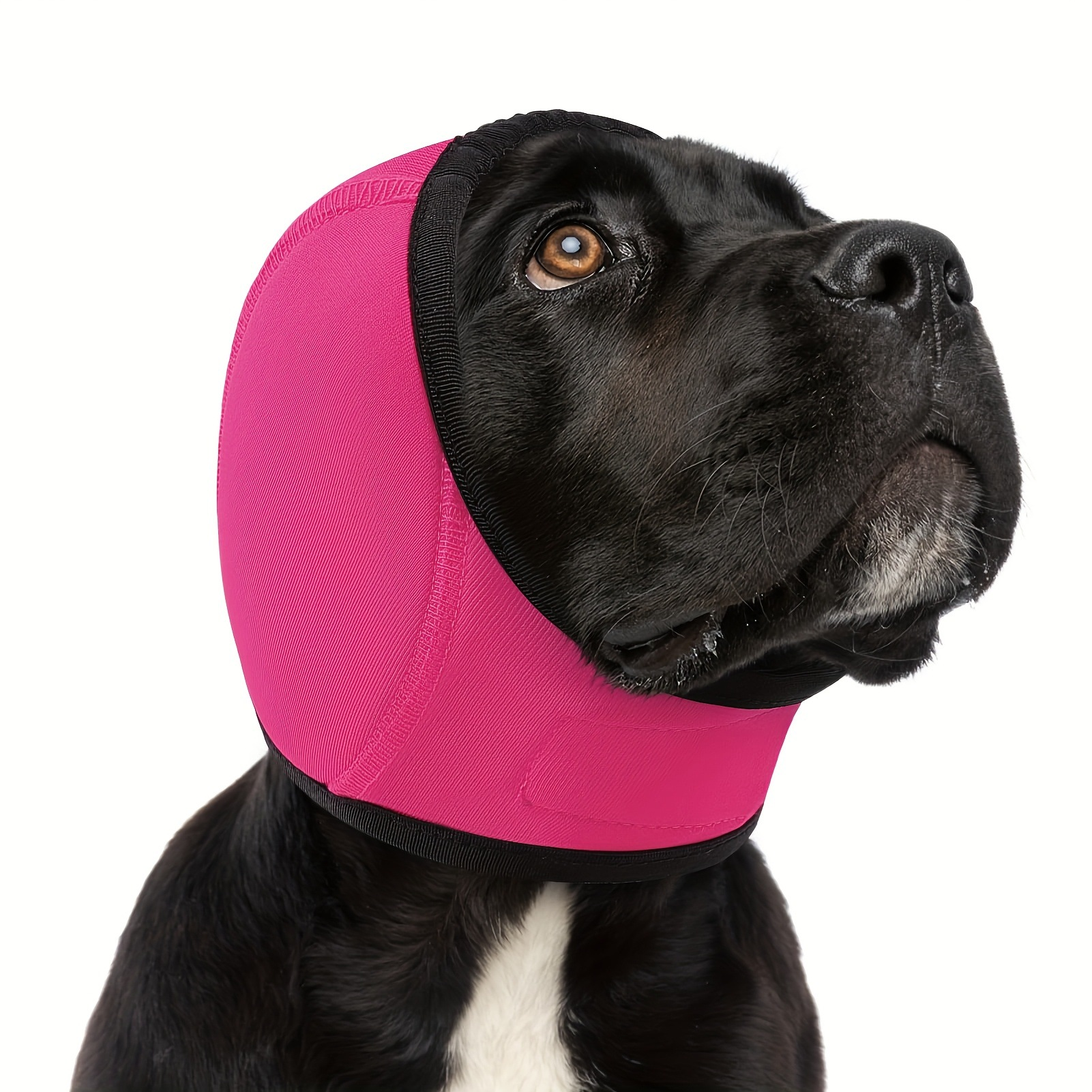 Dog ear muffs for noise reduction in Light Green, in a home setting