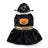 Small dog in a Christmas penguin costume with velcro fastening