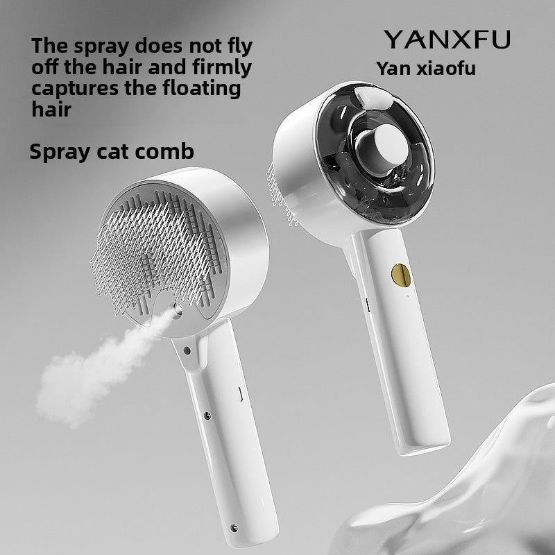 Steam Spray Cat Comb with UV Sterilisation Light