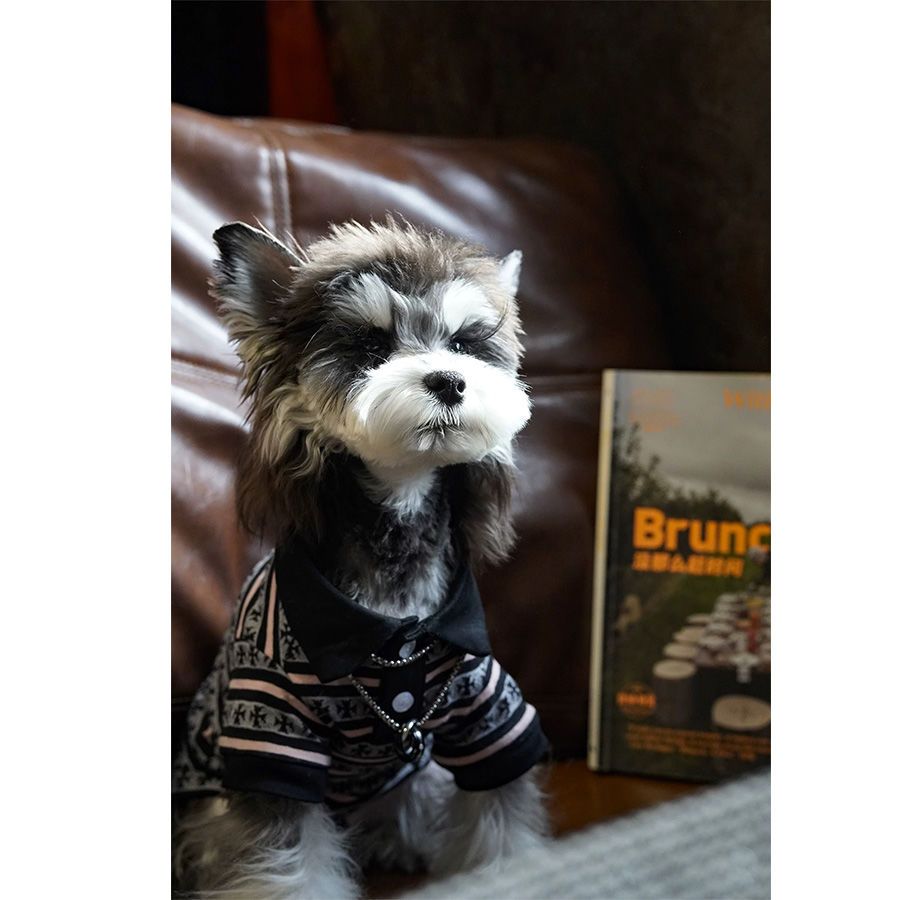 Plaid polo T-shirt for small dogs in Plaid, close-up detail