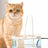Automatic Cat Water Fountain with Silent Pump, 6 Filter Boxes and Multiple Power Options