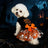 Black Halloween skull print pet dress with mesh skirt for dogs and cats, image 2