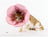 Lightweight soft cone collars in pink, purple and blue