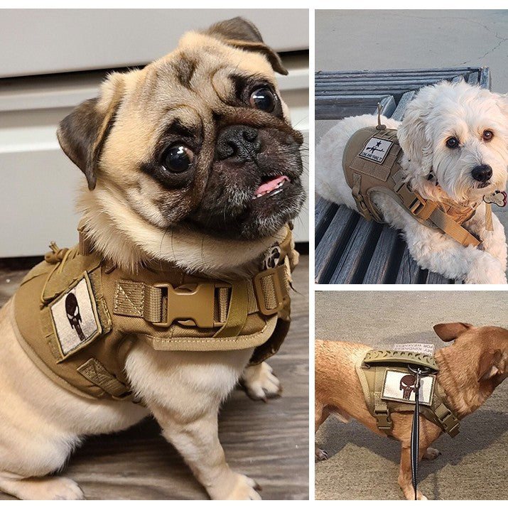 Tactical MOLLE cat harness vest in nylon, product image 1
