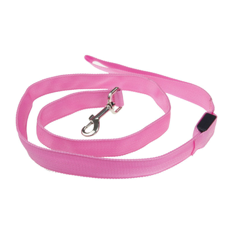 LED light up dog lead glowing green at night
