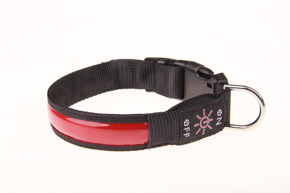 Reflective LED dog collars in red, blue, green and pink