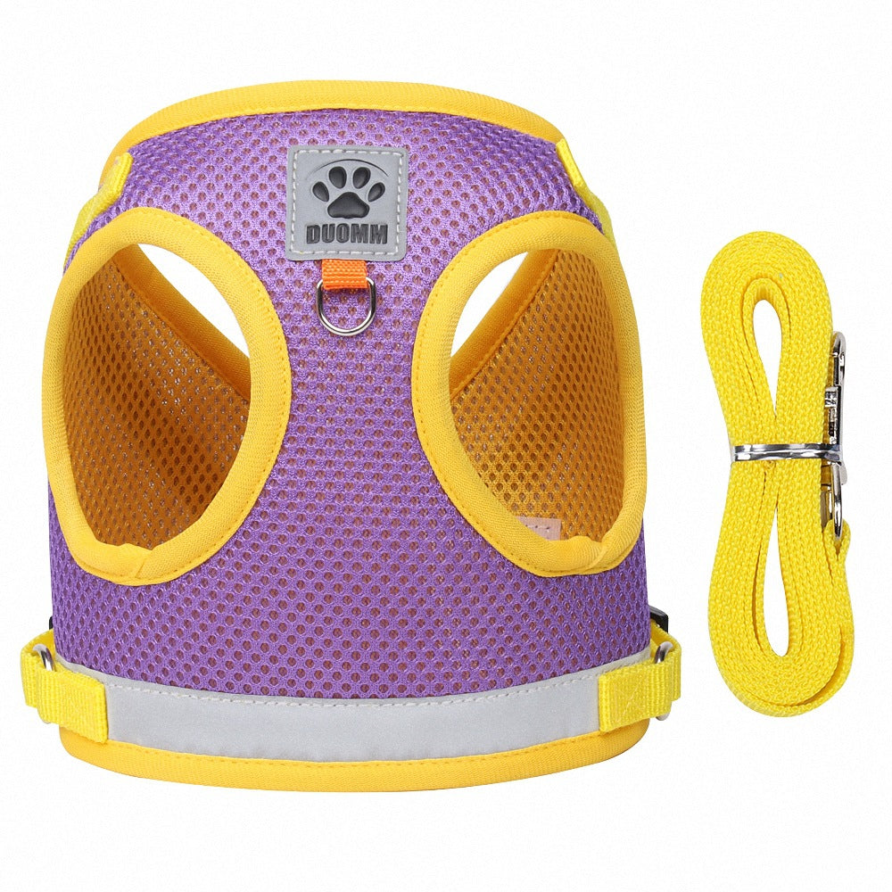 Breathable mesh pet harness and lead set, main product photo